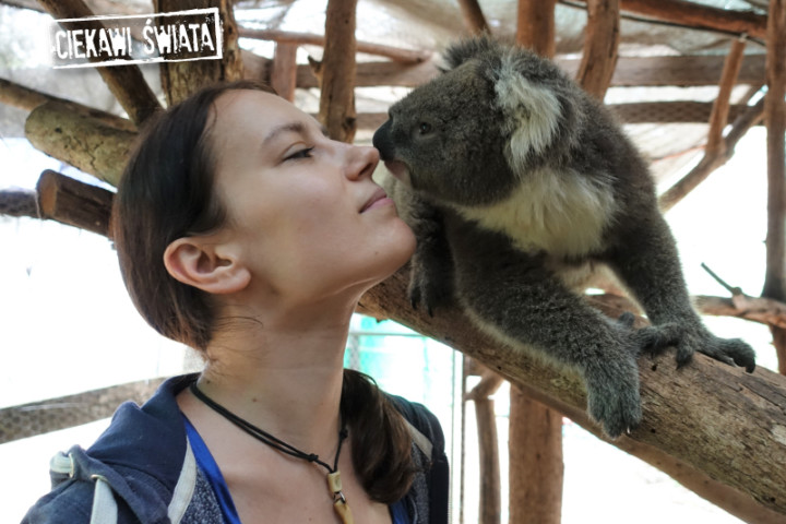 Mali Odkrywcy: Małgorzata Zdziechowska – Koala to nie miś, czyli fascynujący świat torbaczy