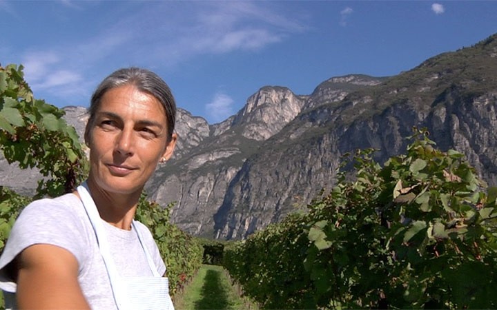 FILMS for FOOD: Natura, kobiety i wino